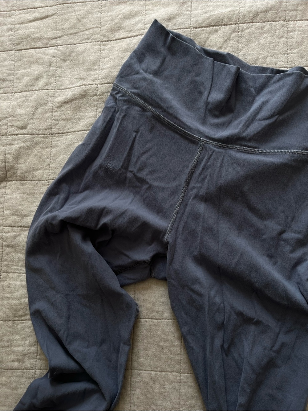 Aritzia TNAction Leggings (M)